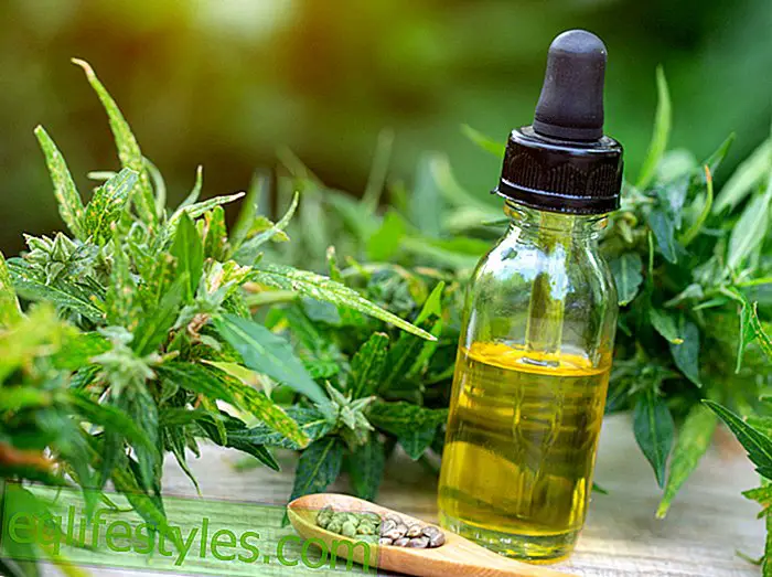 New skin care trend CBD oil: What can the new miracle cure for wrinkles and acne?