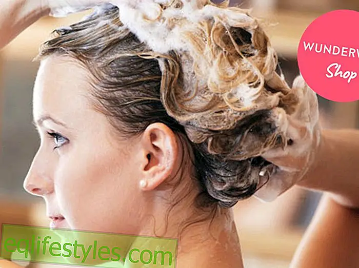 kauneus - HiustenhoitoEi enää kutinaa: Tämä on paras shampoo kuivalle päänahalle