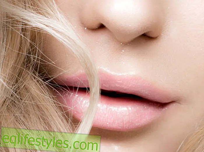 Lovely Lips7 Věci, které jste vždy chtěli vědět o péči o rty