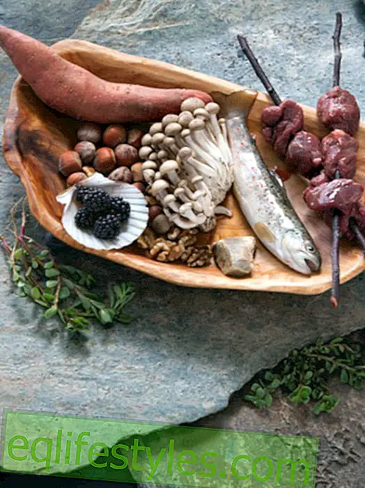 Paleo diet: food as in the Stone Age