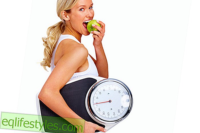 דיאטה - מאבד משקל דיאטת ההורמונים החדשה