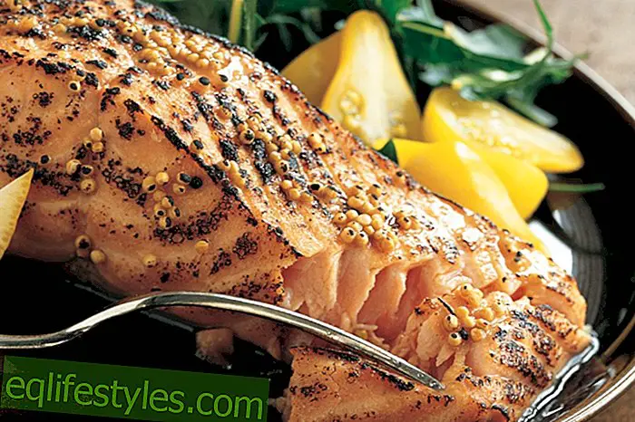 Recipe salmon with mustard and maple syrup