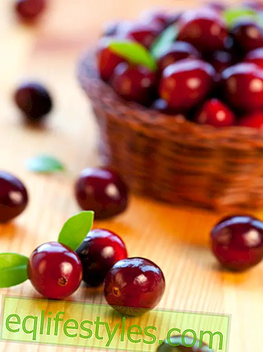 Fit through the winter: strengthen with cranberries