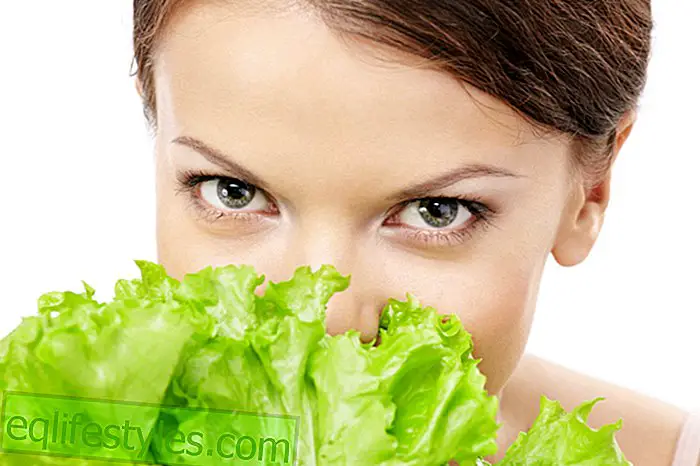 zdravý: Dieta Nový vegetariánský životní styl