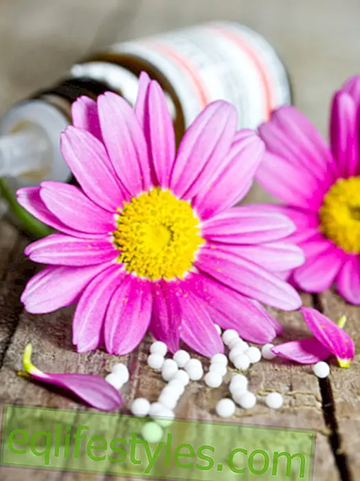 Homeopatia, luostarilääke, kotilääkkeet vai yrtit?  56 luonnollista kipulääkettä