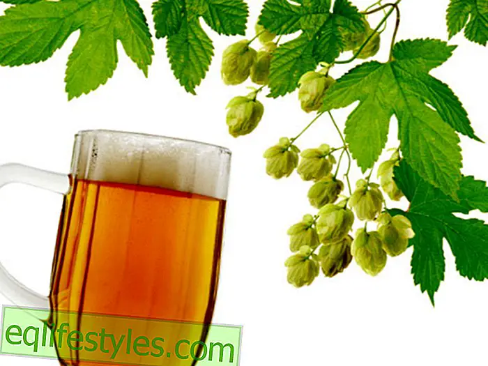 Does beer help fight inflammation, cancer and diabetes?
