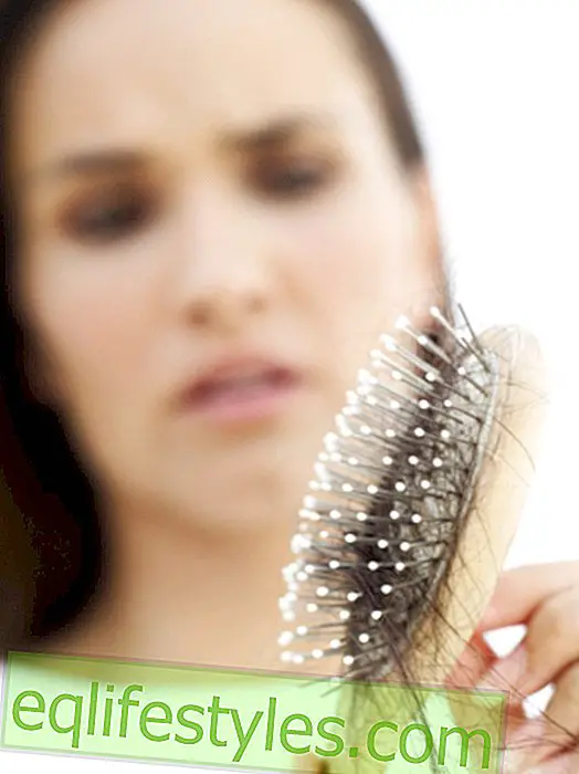 Healthy: Alopecia Areata: Where does the circular hair loss come from?