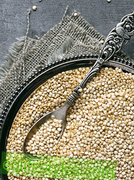 здрав - Chia, Moringa, QuinoaSuperfood: Тънък и подходящ за суперхрани