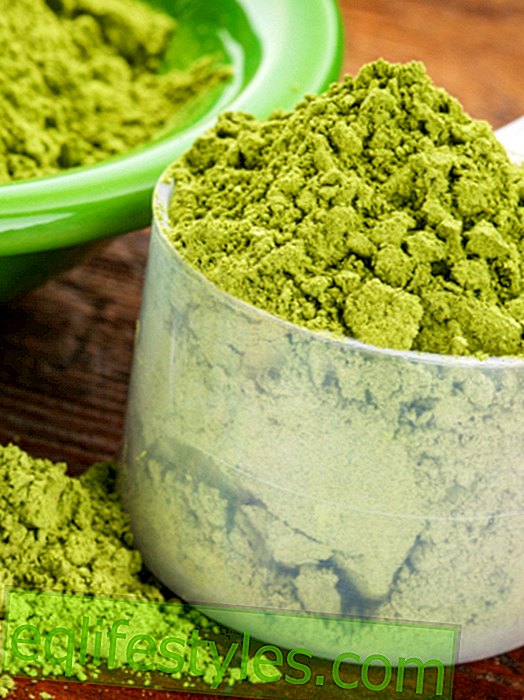 Test: How to recognize good Moringa powder