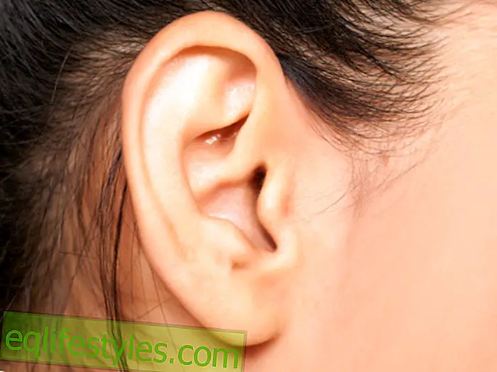 Disease in the Ear Gaping Tube: If you hear everything twice