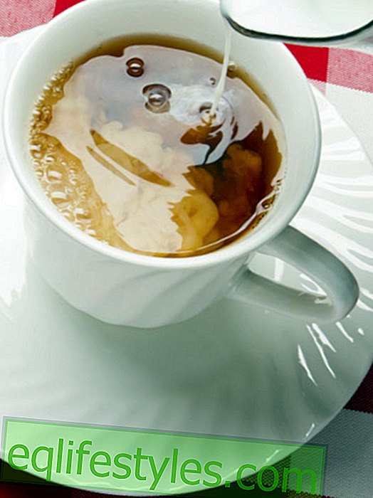 Healthy: Black tea with milk?  Better not!