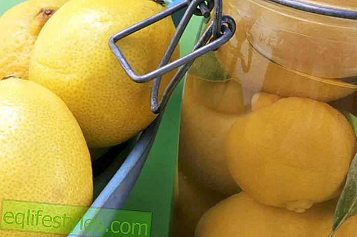 cocina - Recetas frescas con limones