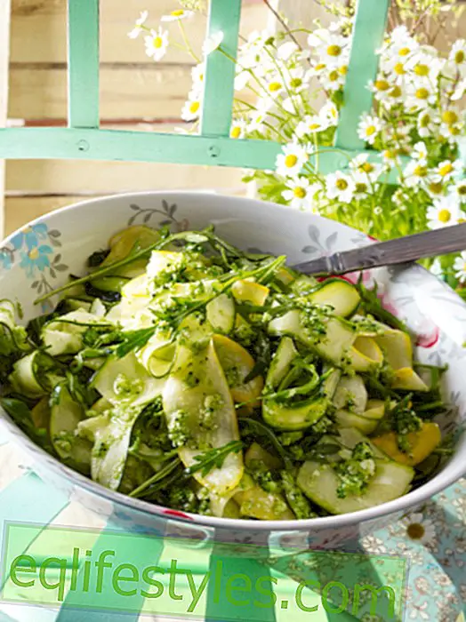 Moringa Recipes: Great recipe ideas with a twist!