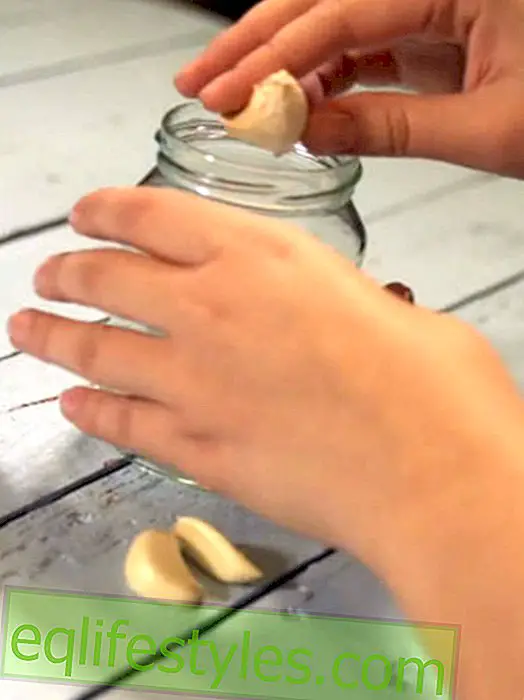 키친 트릭 : 손가락 냄새없이 빠르게 마늘 껍질 벗기기