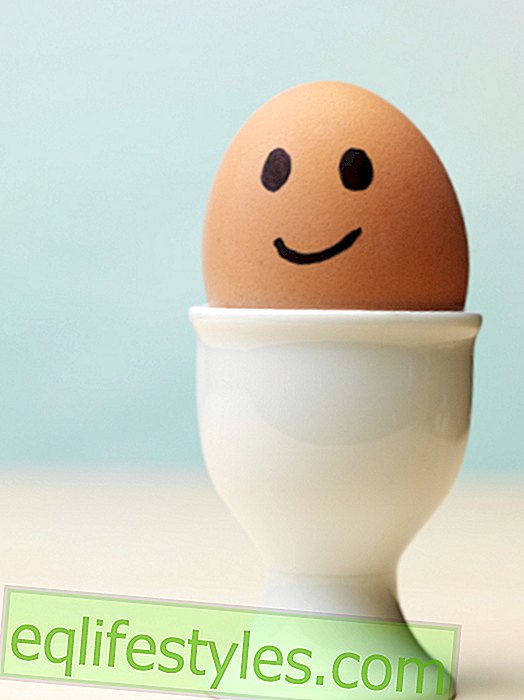 koken - Eieren afschudden: brengt dat?
