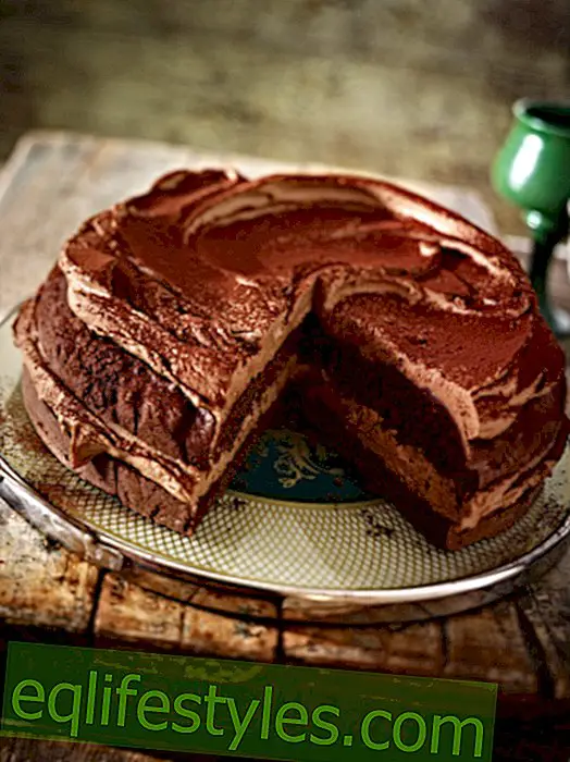 Cook - How it smells!  18 cake recipes with coffee