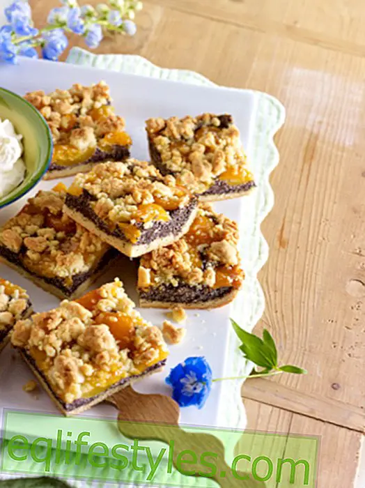 Pastel de semillas de amapola: 17 deliciosas recetas de pasteles