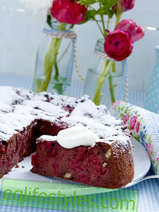 Juicy chocolate cake with cherries and spoon biscuits