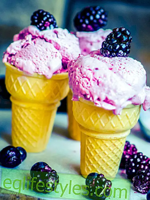 아이스크림 메이커가없는 냉동 요구르트-5 가지 아이디어