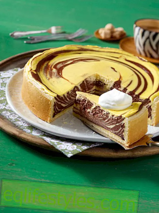 Cheesecake ζέβρας: θεραπεία κουάρκ σοκολάτας