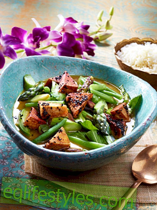 Eten uit het Verre Oosten Gezonde recepten uit de wok - 17 keer Aziatisch