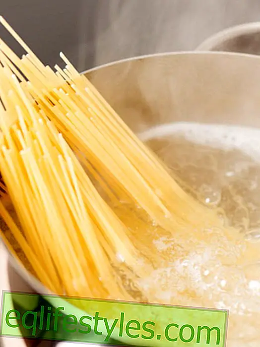 cooking - Stiftung Warentest: testi võitja spagetid ainult 50 sendi eest