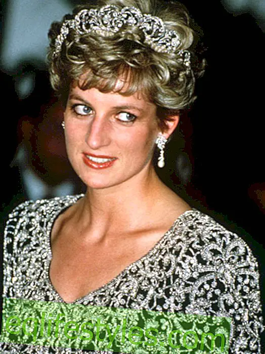 Prinsesse Diana: sjokk!  Minnesutstillingen er stengt