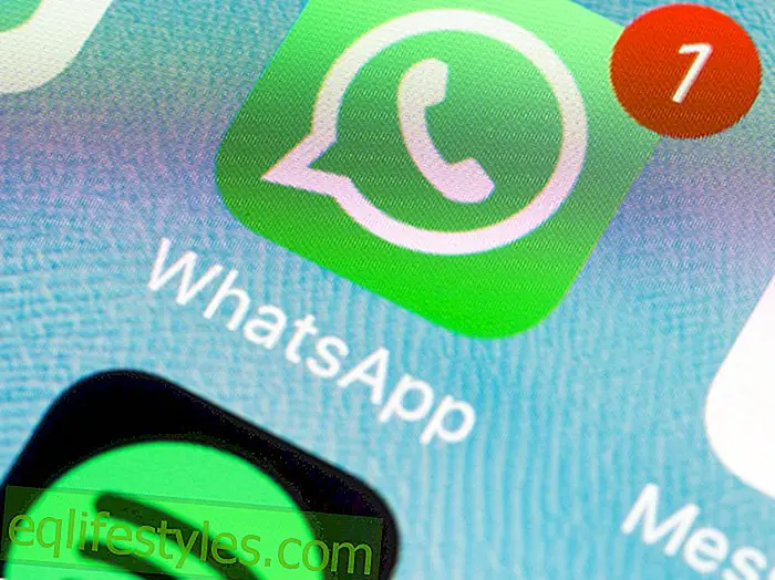 WhatsAppWhatsApp-Update: Толкова бурни са реакциите на потребителите
