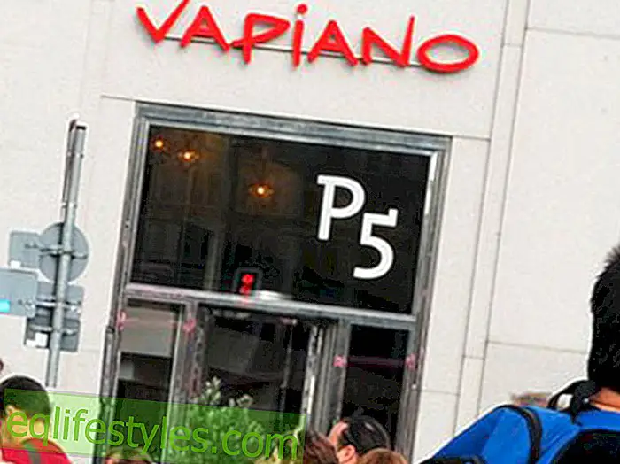 Vermin spotted mice plague at Vapiano