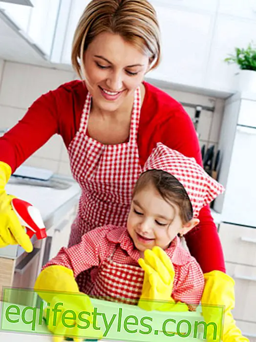 10 temppua puhtaassa keittiössä