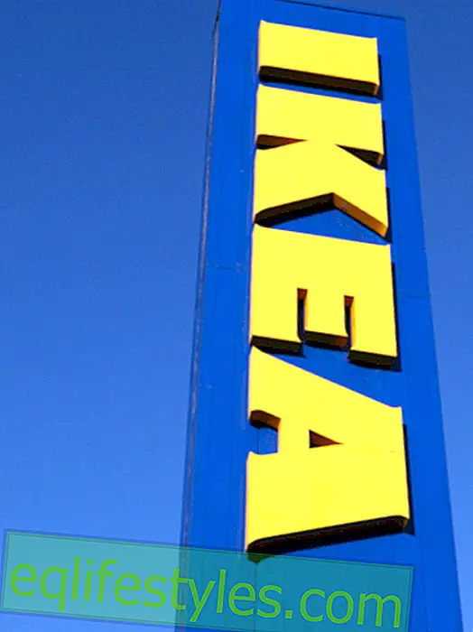 11 důvodů: Proč milujeme a nenávidíme IKEA