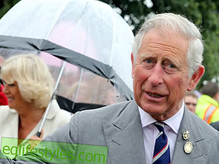 život: Princ Charles: Plemenita gesta