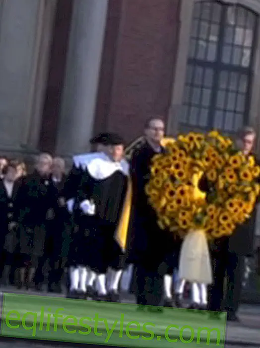 Life: The world bids farewell to Helmut Schmidt, 2015