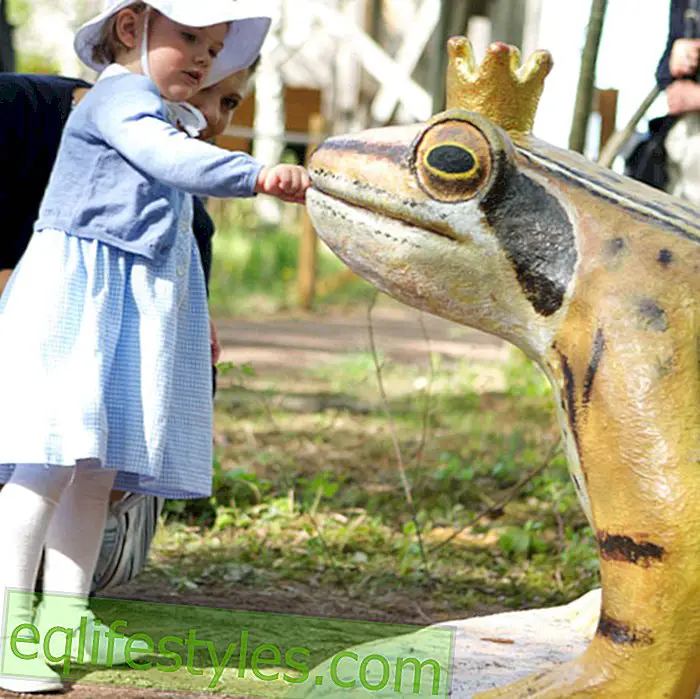 Estelle of Sweden: First day of work with frog prince