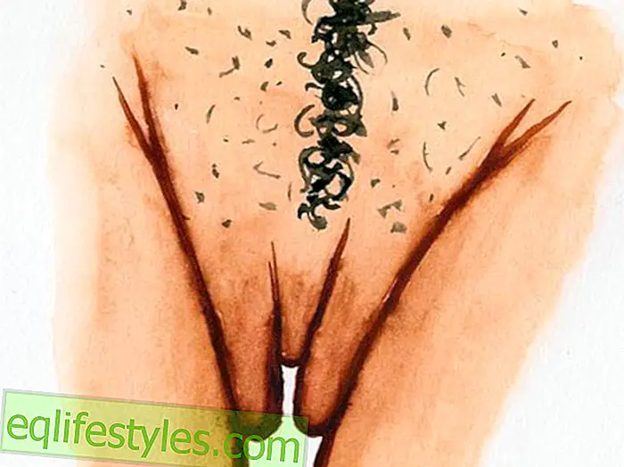 Vagina Art100 Immagini di una vulva: ogni donna è bella
