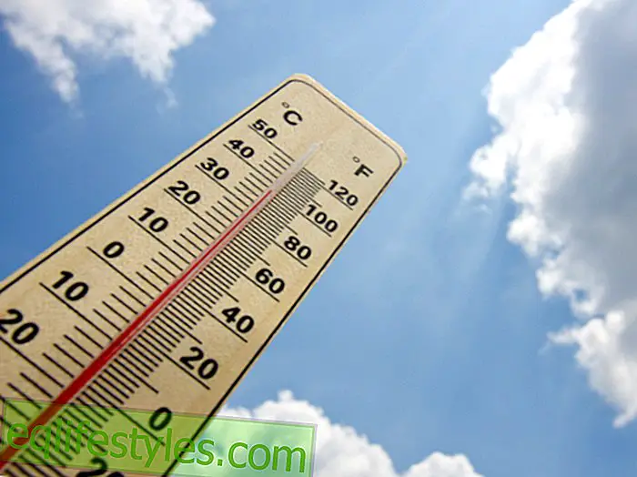 Рекордні температури температури: 2016 рік може бути найтеплішим роком з початку вимірювання