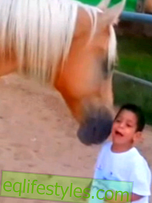 Fortsetter: Hesten kommuniserer med syk gutt