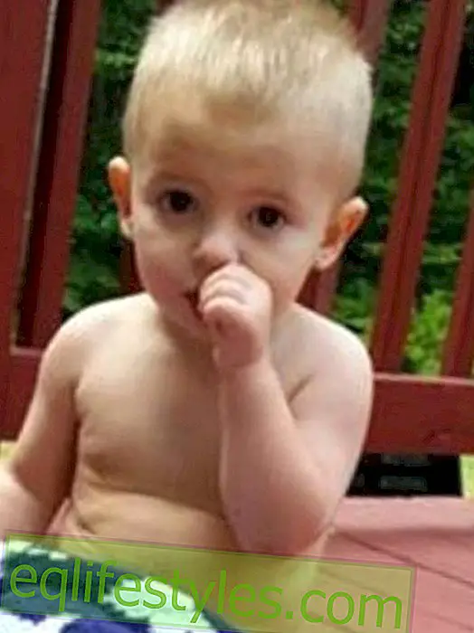 Toddler dies after visiting the petting zoo