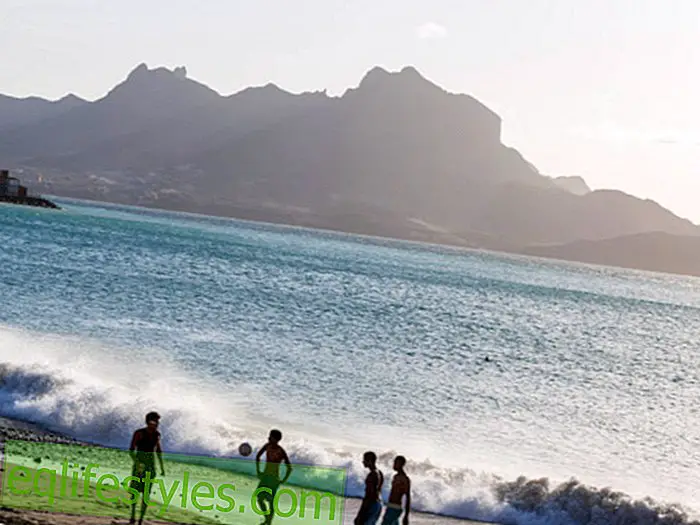 Life - Cape Verde: The islands above the wind