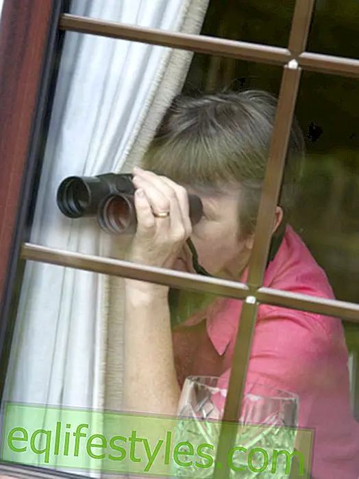 Sama sjenila: Dakle, susjedi ne mogu gledati u prozor