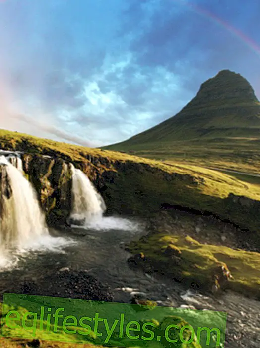 Global Peace Index: That's why Iceland is the most peaceful country in the world