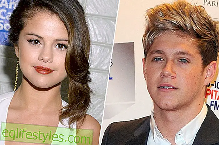 Kuuma flirtti välillä Selena Gomez ja Niall Horan?