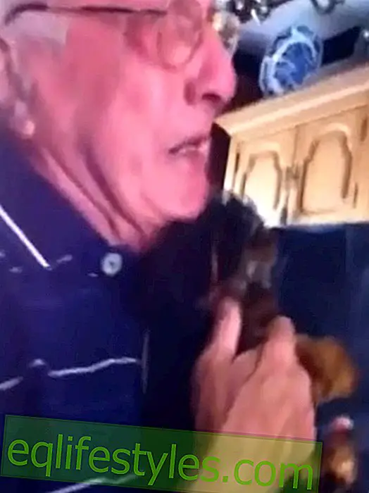 Video: Isoisä itkee uuden koiranpennunsa edessä