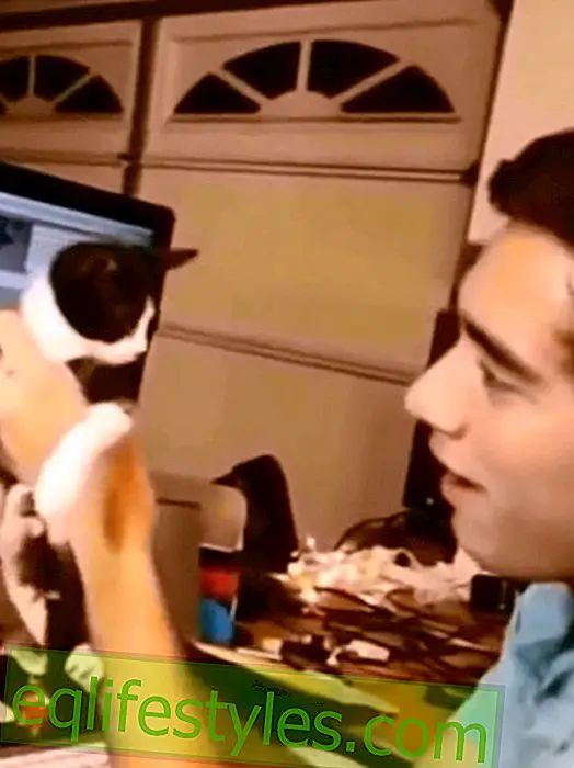 YouTube Magic: Zach King is THE Video Mage of Vine!