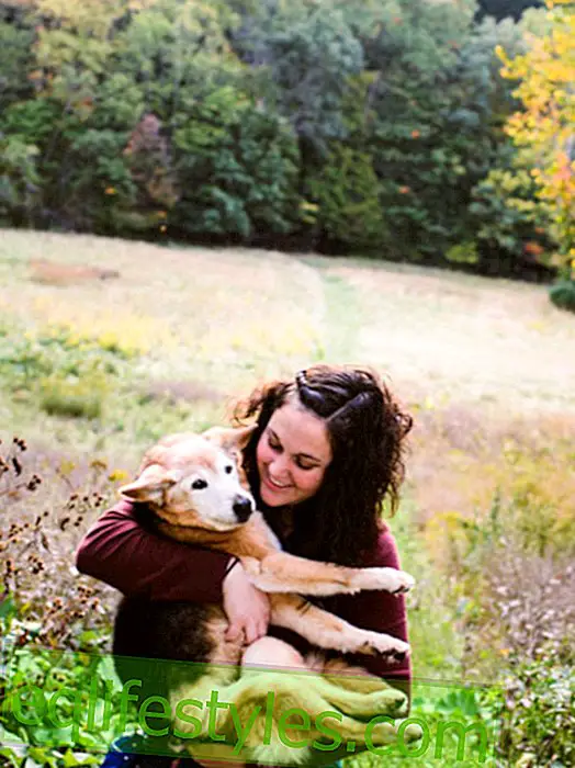 Declaración de amor en imágenes: el fotógrafo se despide de su perro fallecido