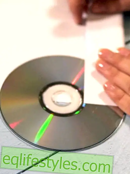 Life - Tip: fold the CD cover out of A4 paper in just a few seconds
