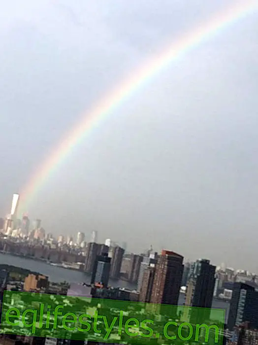 A symbol of hope: a rainbow over the World Trade Center