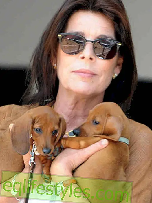 मोनाको की राजकुमारी कैरोलिन: कुत्ते का प्यार