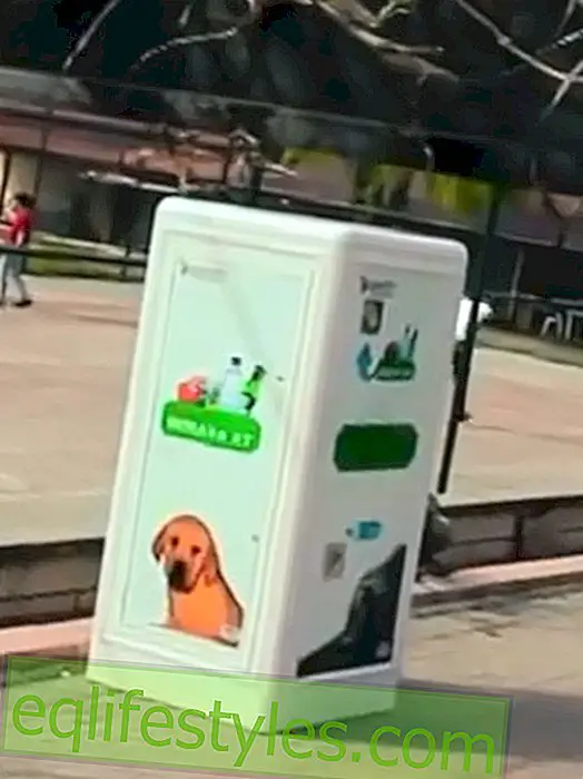 Sjajan video: Automat prikuplja povratne boce i donira hranu za životinje