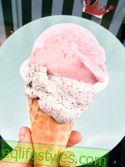 生活: 本当に良いアイスクリーム店の秘密, 2015